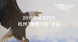 【喜讯】数脉科技入选2019年杭州市“雏鹰计划”