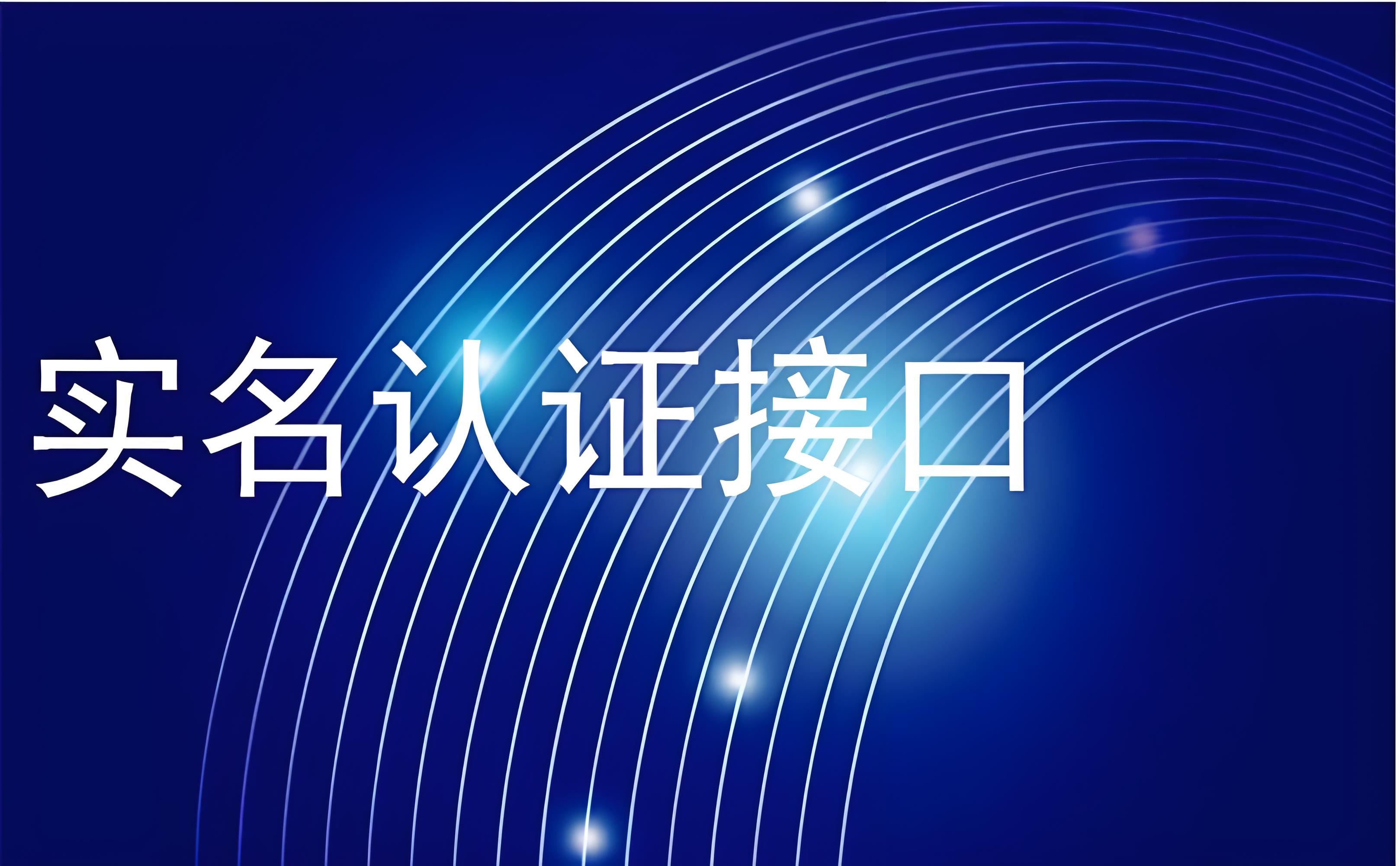数脉API 身份证二要素认证接口：功能、原理与应用指南