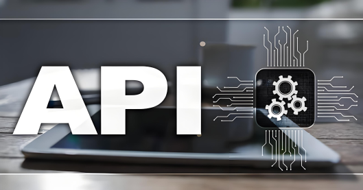 数脉API 道路运输从业资格证识别接口：实现高效智能的从业资格核查