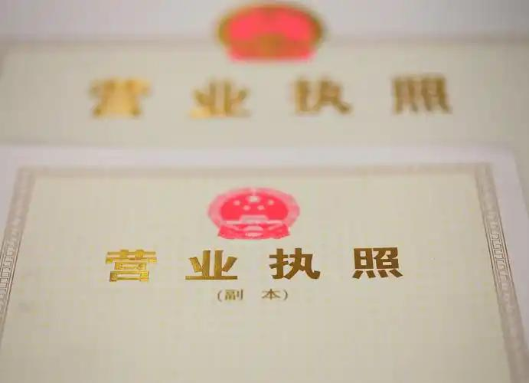 营业执照OCR识别API接口解析